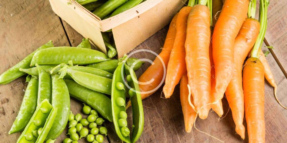 Top 5 the Most Healthy Vegetables